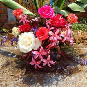 Meet your Posher, Wendy